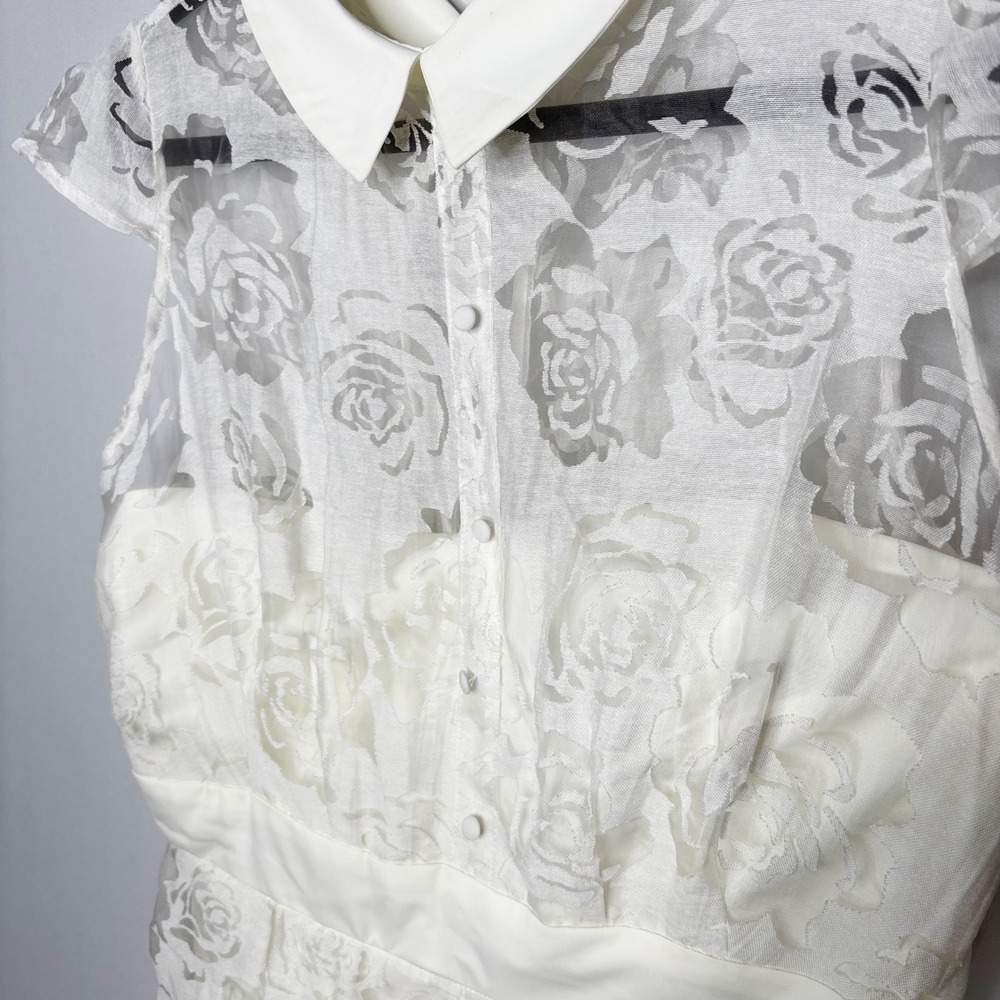 Unique Vintage Retro Ivory Rose Dress Lace Overlay Peter Pan Collar Size XL - Picture 7 of 11